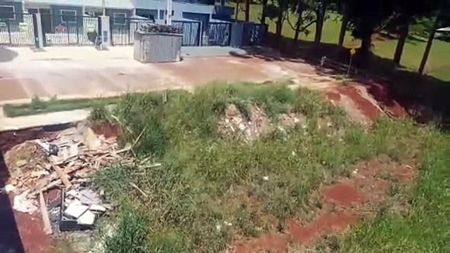 Cobras e aranhas: internauta denuncia abandono de terreno no Loteamento Valência