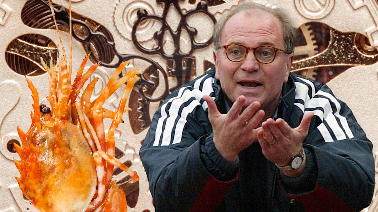 Als Hoeneß seine 'Scampi-Rede' hielt