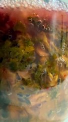 Fermenting cabbage sprouts!