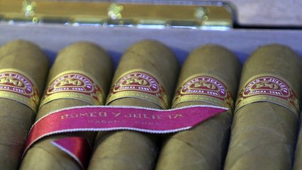 Récord de venta de puros cubanos en 2024