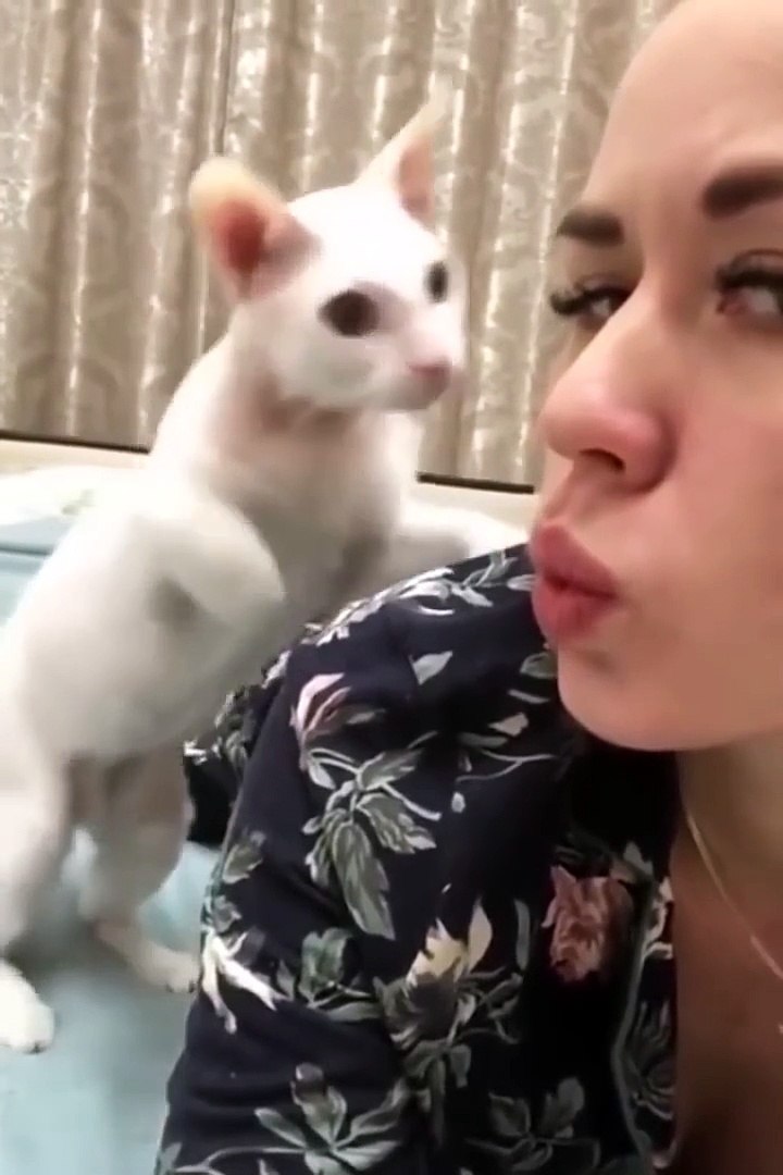 ⁣😹 When Pets Go Wild – Funny Moments Caught on Camera! 😹  #5