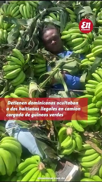 Detienen dominicanos ocultaban dos haitianos en...