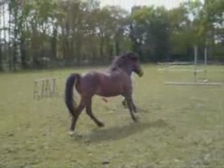 Laïta samedi 25 avril