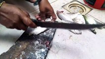 Paiya Fish Cutting & Cleaning at Home Easy Fish Cutting Techniques