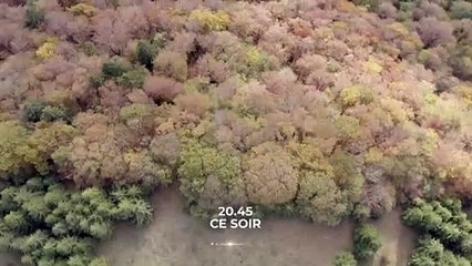 Héroïnes de nature