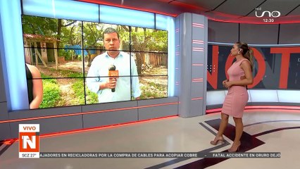 ENVENENARON 8 PERROS
