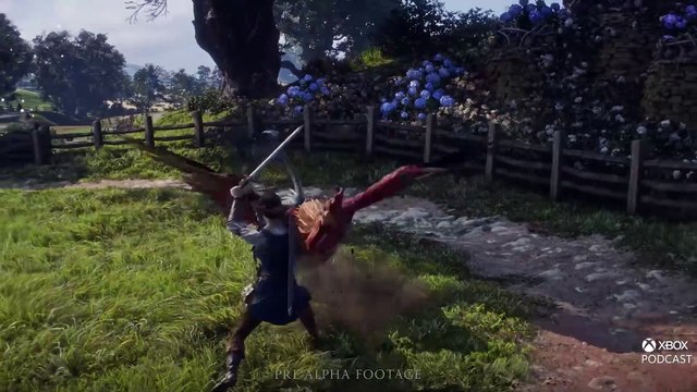 Fable. Gameplay de la versión Pre-Alpha