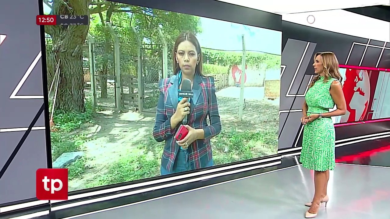 ​​​​“Han envenenado a nuestros rescatados”; denuncian rescatista tras hallar muerto a siete canes de un refugio