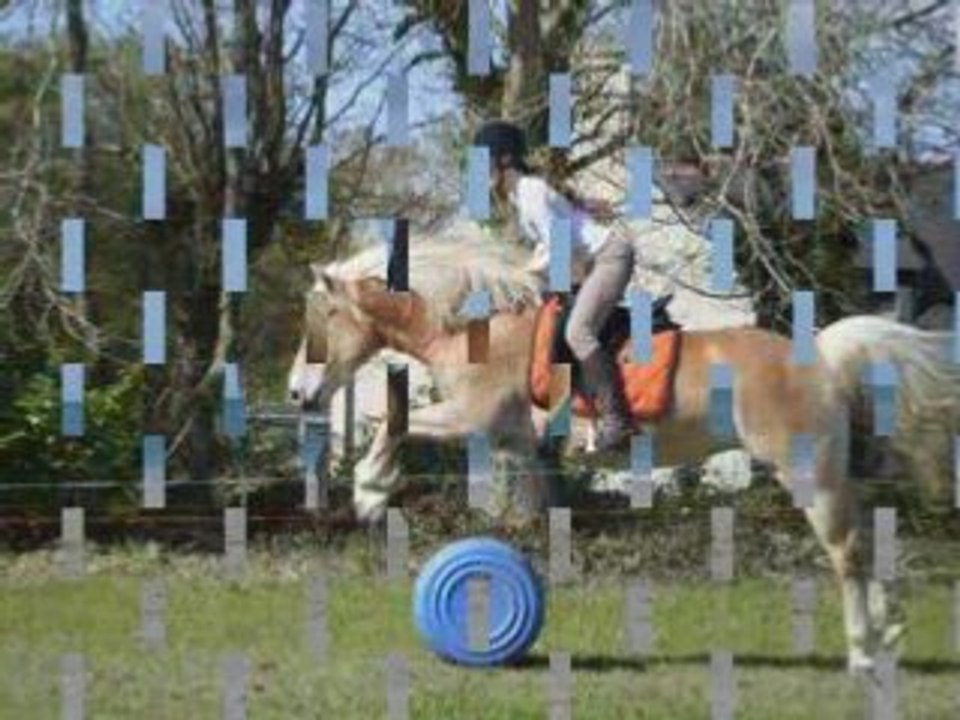 Montage photo Pauline & Manu