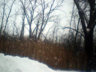 CC Rider in C on Hohner Special 20 🎸