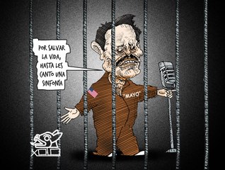 Xolo | ¿Qué harías por un día más de vida? 🕊️