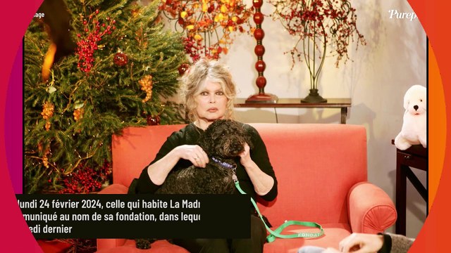 Il n'y a plus de limites à... : Brigitte Bardot tape du poing sur la table, un grand réalisateur concerné