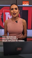 DENUNCIAN BIOCIDIO MÚLTIPLE EN UN REFUGIO DE PERROS