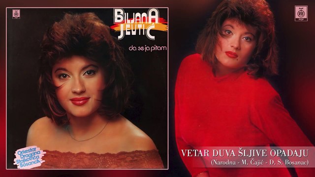 Biljana Jevtic - Vetar duva, sljive opadaju (1992) HD