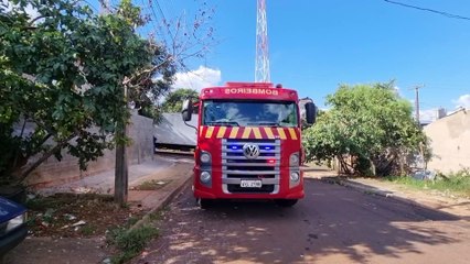 Caminhão “se enrosca” em árvore no Bairro Santa Cruz