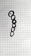 Bruco disegno 3