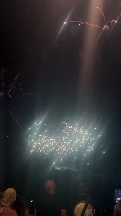 Le Feu d’artifice du 14 juillet Grenoble  Parc Jean-Verlhac Villeneuve #france #grenoble #show (19)