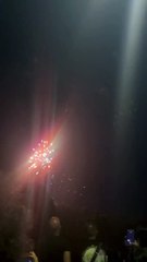 Le Feu d’artifice du 14 juillet Grenoble  Parc Jean-Verlhac Villeneuve #france #grenoble #show (21)