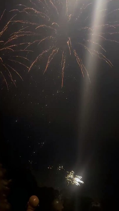 Le Feu d’artifice du 14 juillet Grenoble  Parc Jean-Verlhac Villeneuve #france #grenoble #show (22)