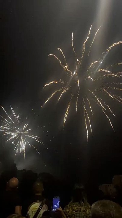 Le Feu d’artifice du 14 juillet Grenoble  Parc Jean-Verlhac Villeneuve #france #grenoble #show (25)