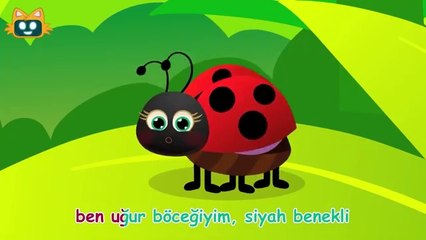Uğur Böceği Şarkısı