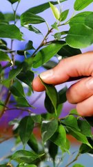 Care for yourself, anytime! Easy hacks for daily wellness!