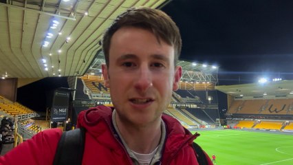 Wolves cost by errors in 2-1 defeat to Fulham at Molineux