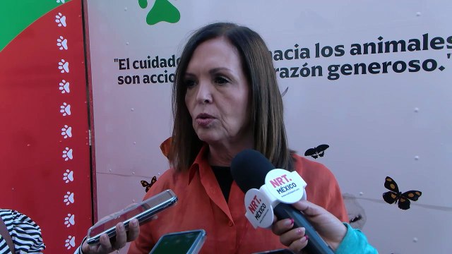 Han sufrido 3 robos en plazas y centros comunitarios de Frontera
