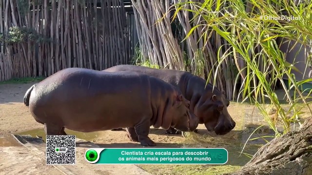 Cientista cria escala para descobrir os animais mais perigosos do mundo