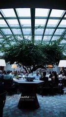 3 Must-Try Date Spots In Sydney