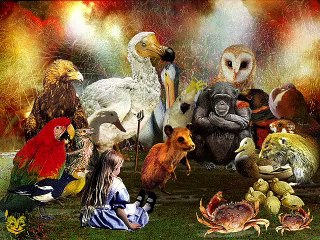 [1/2] Alice's Adventures in Wonderland (2000, PC) Complete Playthrough