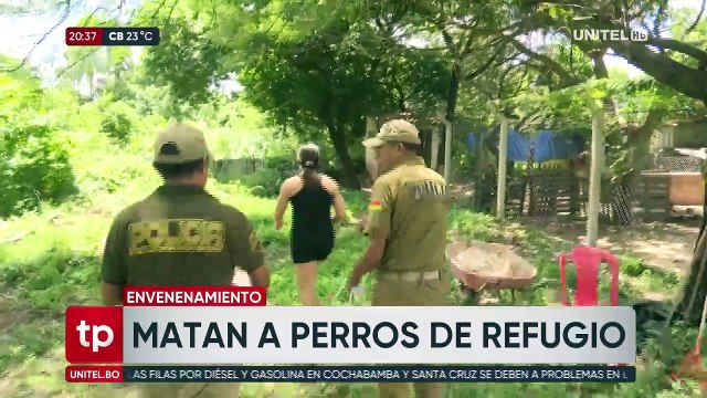 Pofoma investiga biocidio tras la muerte de perros por presunto envenenamiento