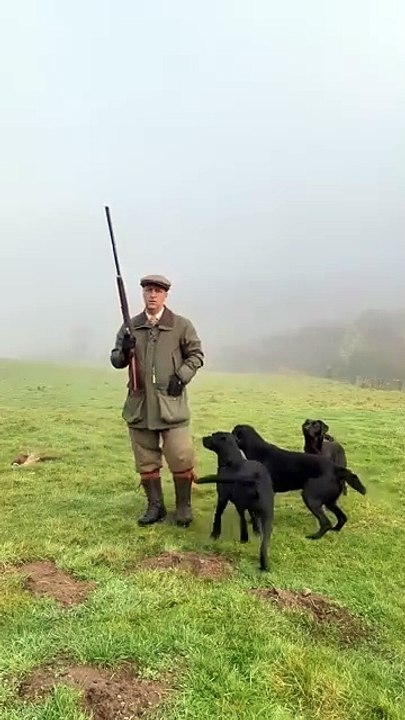 Throwback to our most viewed short_ _drivenshooting _labrador _gundog _pheasant