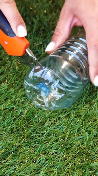 Cultivez le jardin de vos rêves grâce à ces conseils d'experts !