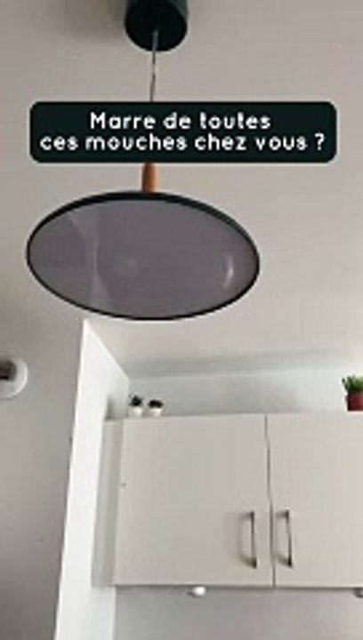 ASTUCE - anti mouches