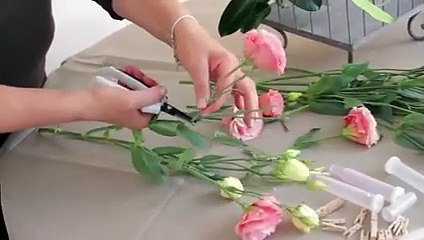 Mise en scène florale autour d’une cage à oiseaux