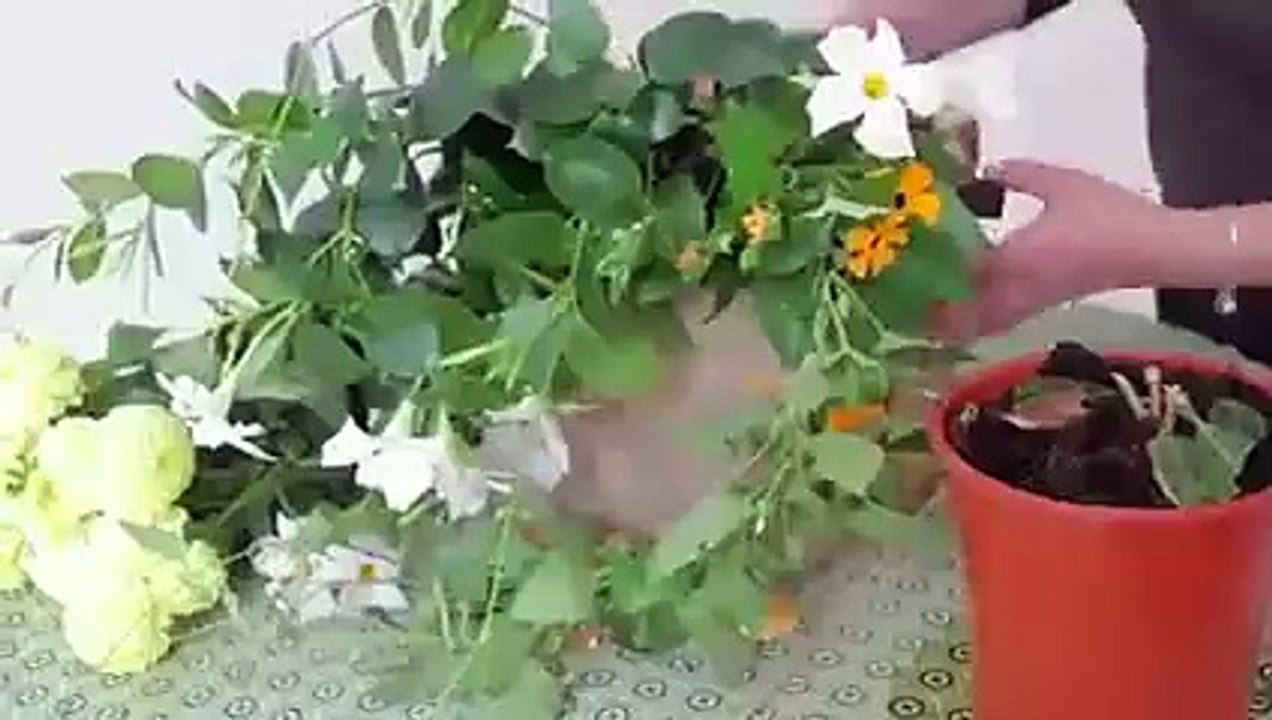 Comment réaliser un bouquet suspendu ?