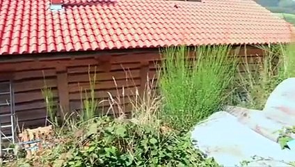 Ma Maison En Travaux : L'hiver arrive à Planfoy