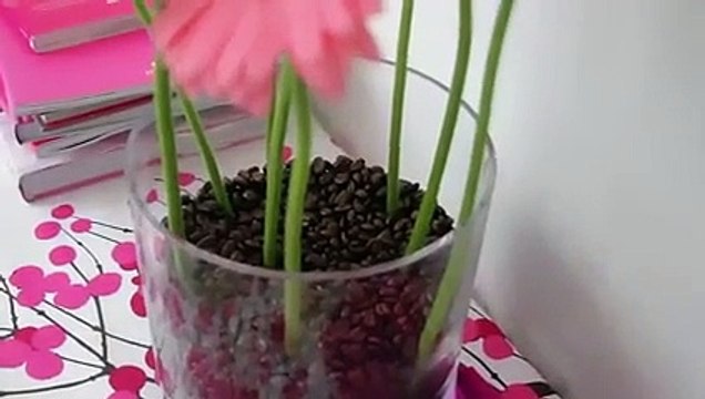 Vidéo : 3 façons de customiser un vase transparent avec des fleurs