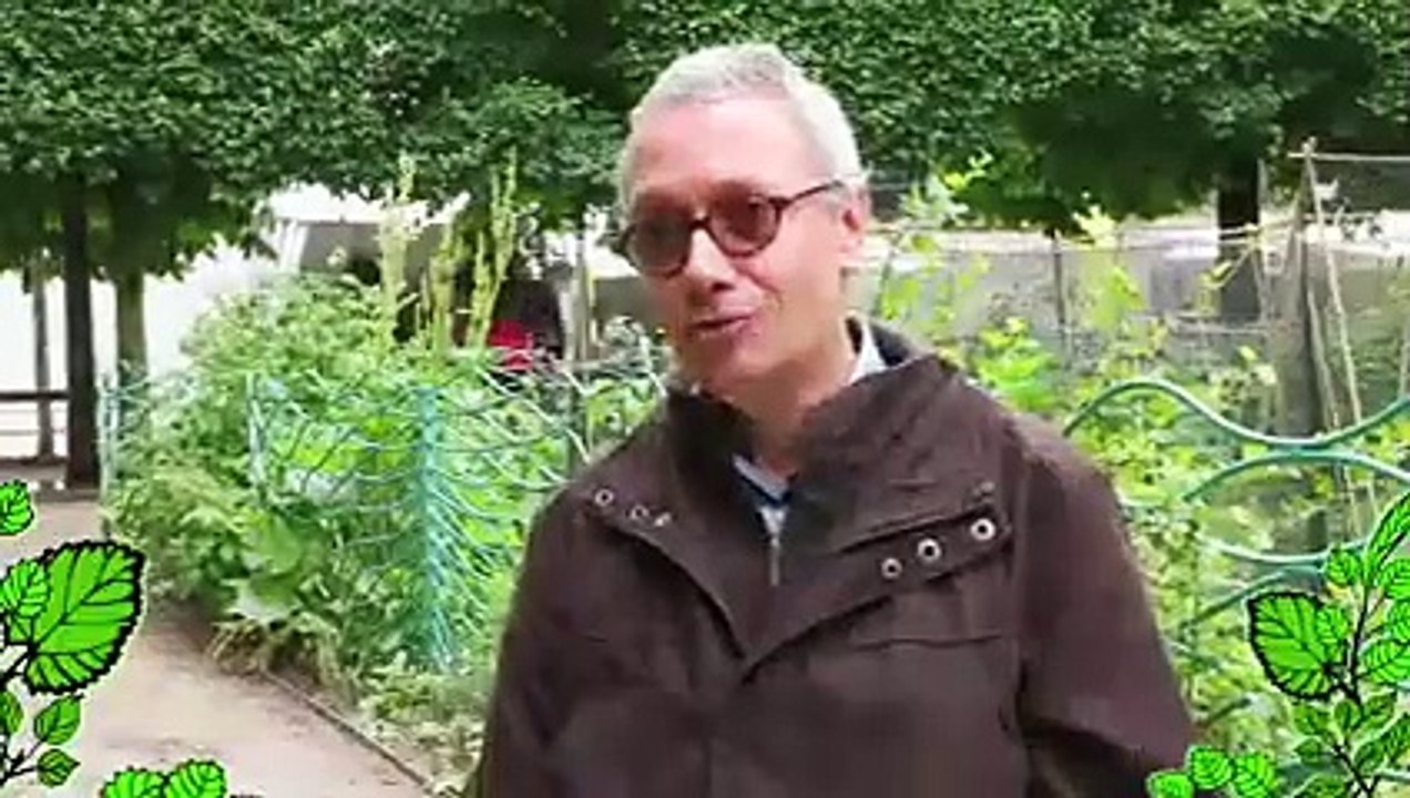 Jardin : apprendre l'entretien du jardin en hiver, conseils simples