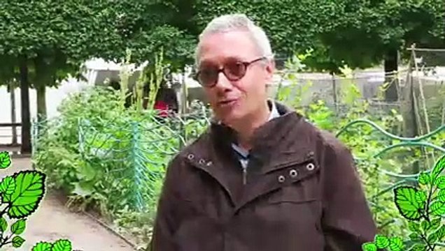 Jardin : apprendre l'entretien du jardin en hiver, conseils simples