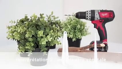 1 branche, 3 interprétations déco