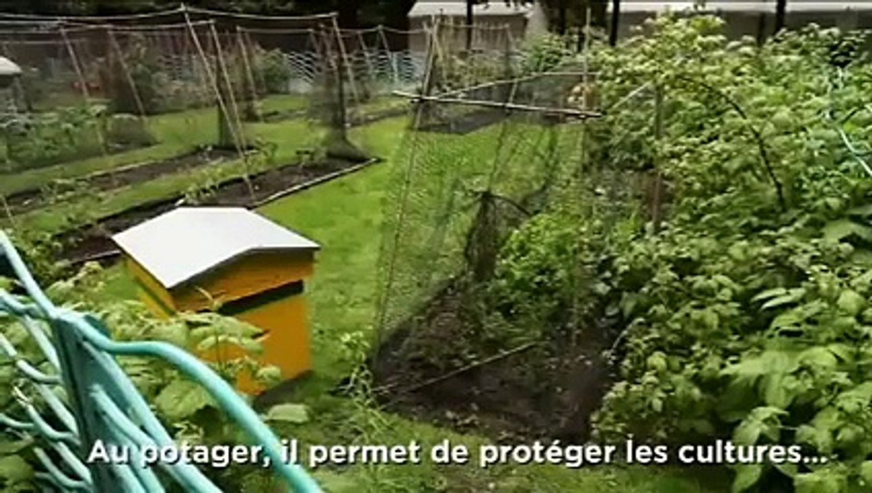 Jardins, Jardin : le bambou se fait utile