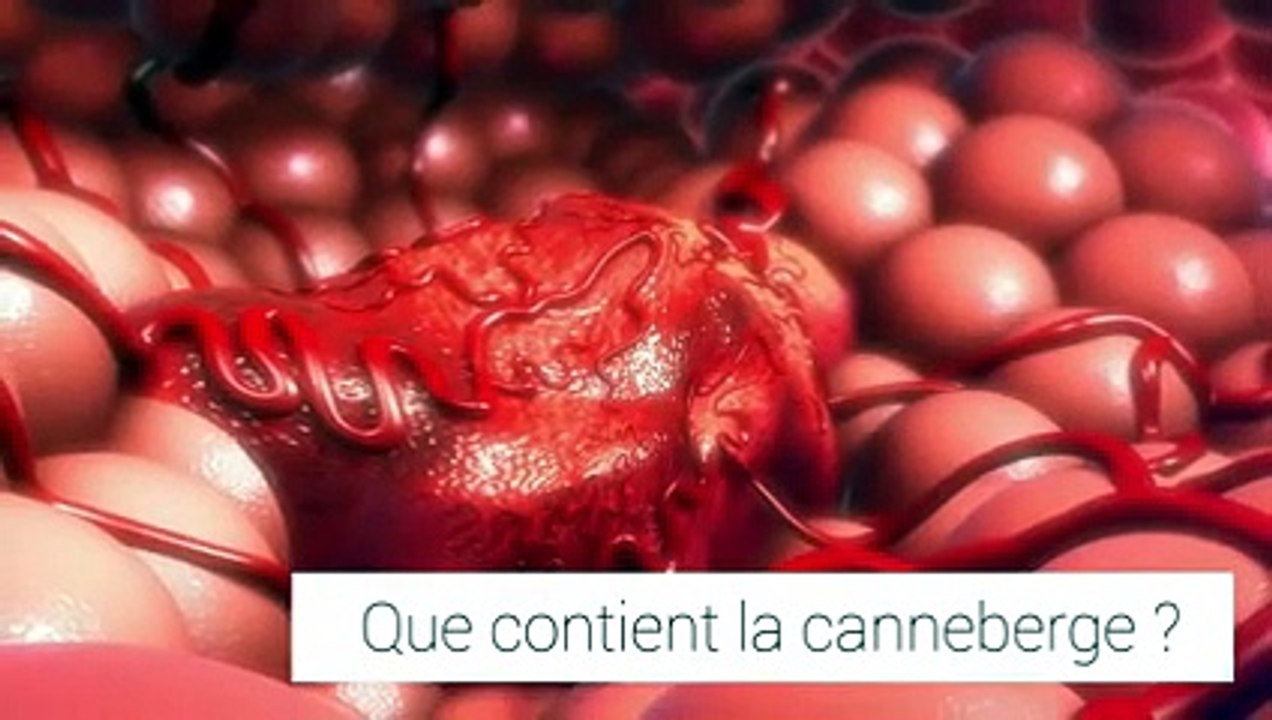Les bienfaits de la canneberge