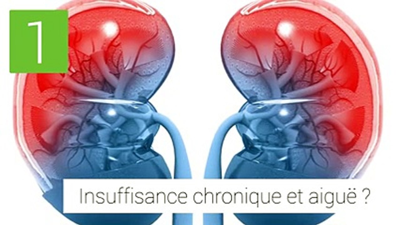 Bien comprendre l’insuffisance rénale