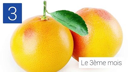 L’évolution imagée de la grossesse