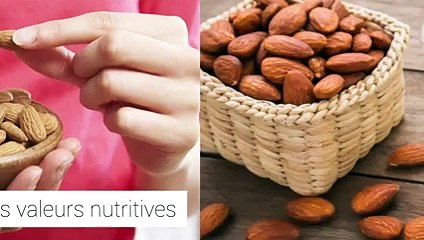 Tout ce qu’il faut savoir sur l’amande