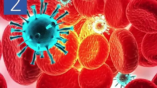 Hépatites : diagnostiquer et traiter