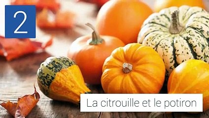 5 aliments à consommer en Octobre