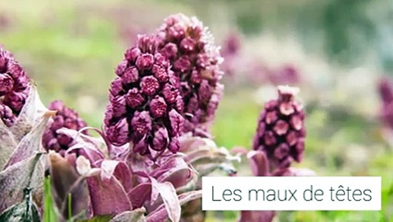 Enceinte, se soigner au naturel